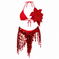 Auriella Mist Red Bikini & Skirt