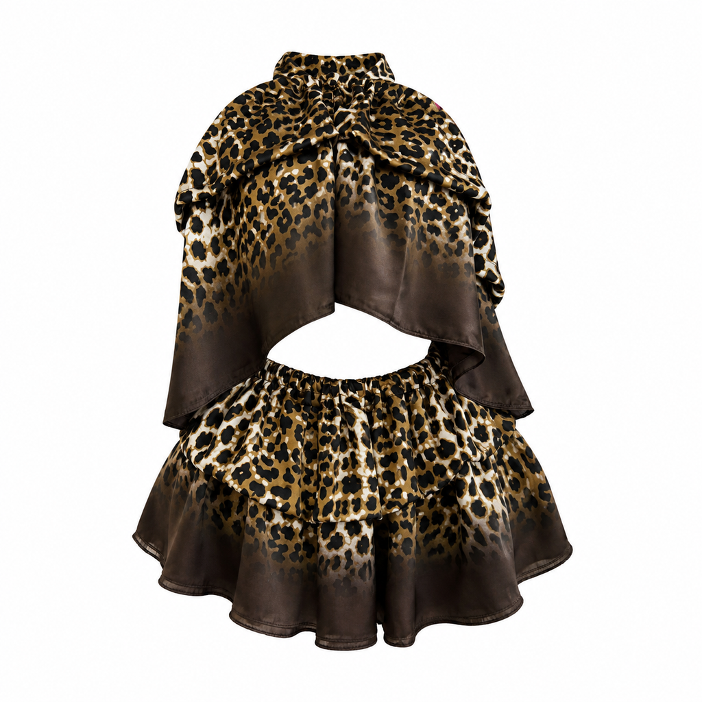 Cocoa Leopard Skirt & top